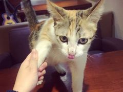 -看书吧(体育东横路店)
