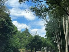 -福建鲤鱼洲酒店