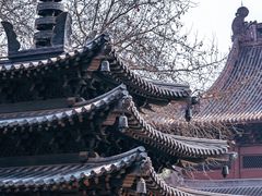 -钱王祠