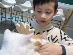 -飞行喵MR PILOT|猫舍·猫咖(静安大融城店)