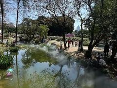 -人民公园(罗湖区)