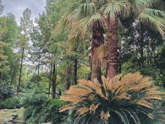 -苏州河梦清园环保主题公园