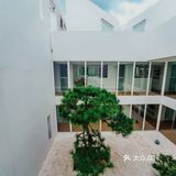 藏在郊野的小白楼 宝藏打卡地