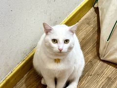 -南枝小馆(银鱼巷店)