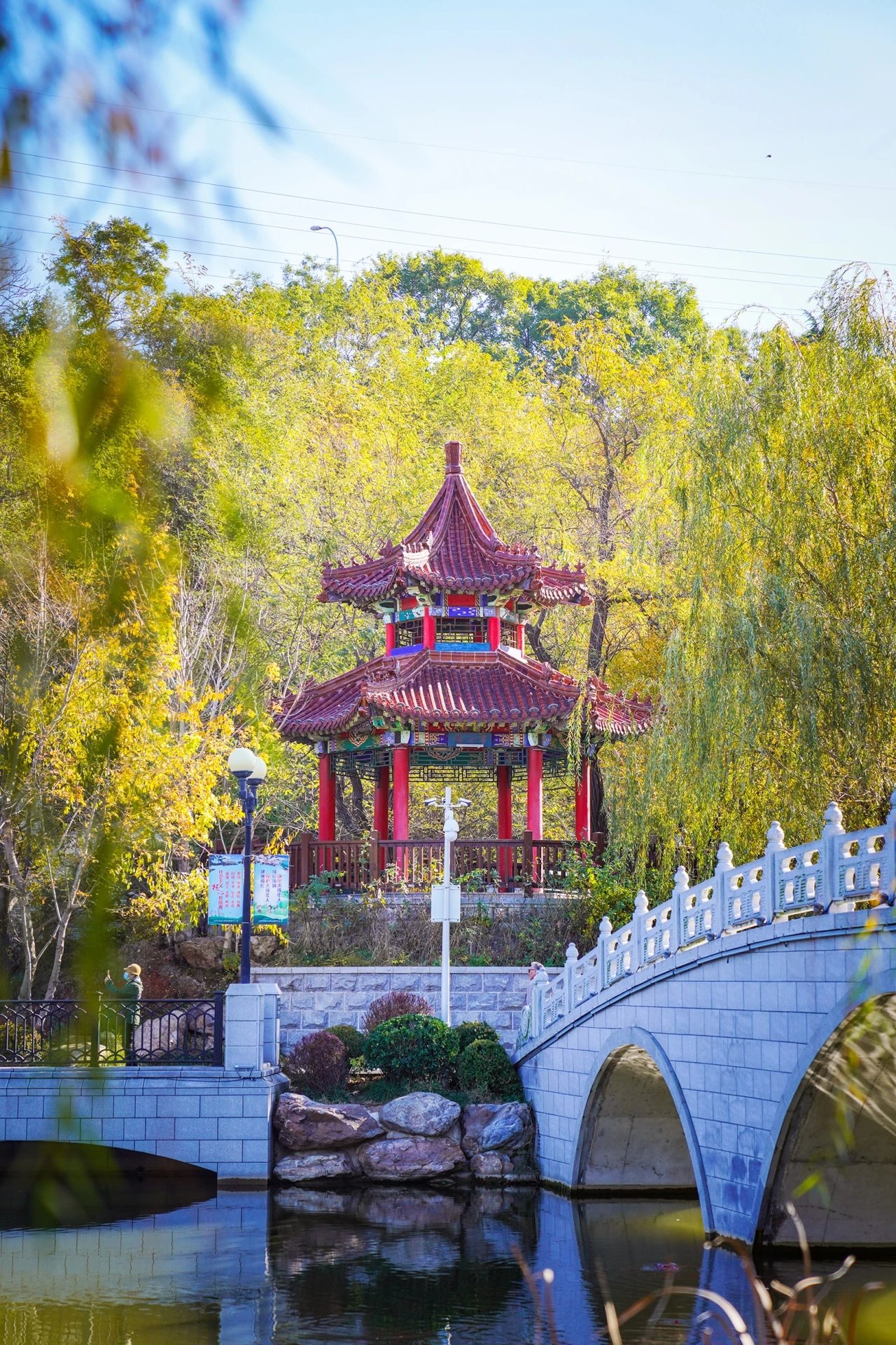 大连开发区植物园图片