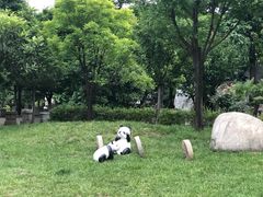 -长安上水缘度假庄园