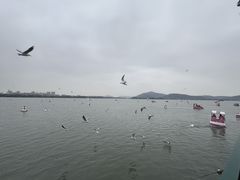-蠡湖大桥公园
