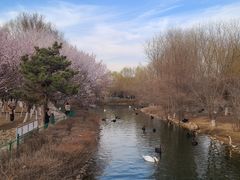 -长白岛森林公园