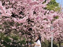 -南山植物园
