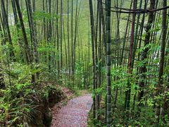 -炎陵县神农谷国家森林公园