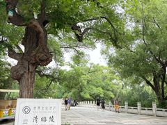-北陵公园