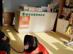 -瑞派宠物医院·中兽医专科(中央商城分院)