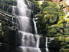景点-碧峰峡风景区