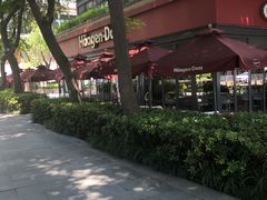 -哈根达斯(武汉天地店)