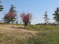 -滆湖低碳生态公园