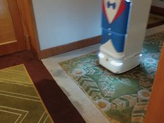 -常州武进九洲喜来登酒店