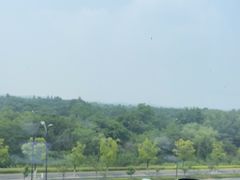 -外婆家(西溪印象城店)