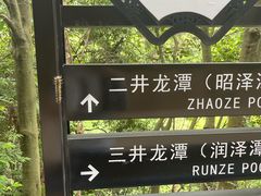 -宁波五龙潭景区