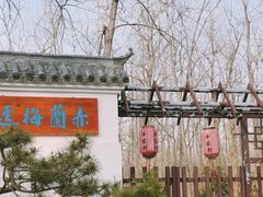 -合肥滨湖国家森林公园