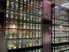 -广州神农草堂中医药博物馆