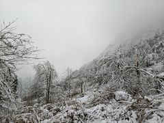 -九峰山