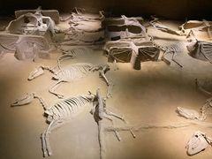 -洛阳周王城天子驾六博物馆