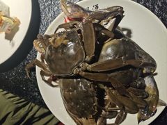 -韩风源自助烤肉(国贸精品店)