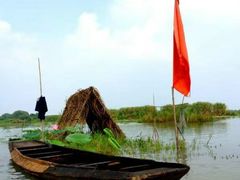 -洪湖生态旅游区