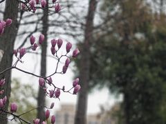 -堤角公园