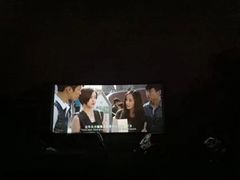 -枫花园汽车电影院(朝阳公园店)