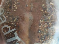 -BreadTalk面包新语·烘焙蛋糕(海珠丽影广场店)