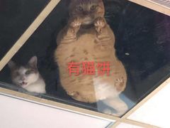 -仲雅水果大卖场(仲雅苑店)