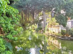 -小洲村