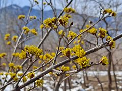 -阳台山自然风景区