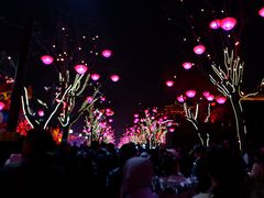 -大雁塔北广场音乐喷泉