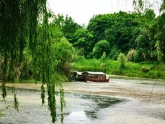 -白鹭湾湿地公园