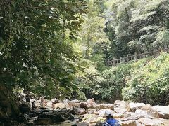 -鼎湖山风景区