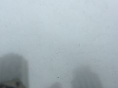 -上海南新雅大酒店
