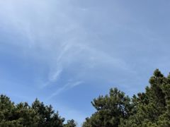 -云岗森林公园