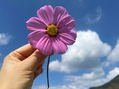 -石棉县孟获城