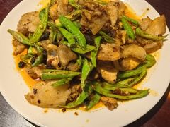 -陈麻婆豆腐总店