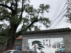 -康陵正德春饼宴26号