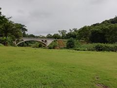 -南宁良凤江国家森林公园