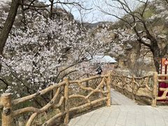 -妙峰山风景名胜区