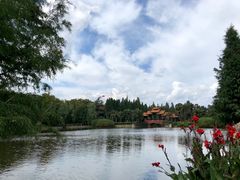 -云南民族村