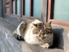 -平遥古城
