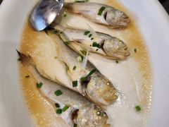 -平湖九龙山庄园圣马可酒店