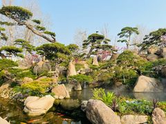 -罗红摄影艺术馆