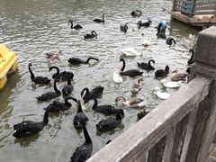 -无锡动物园·太湖欢乐园