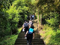 -凤栖山